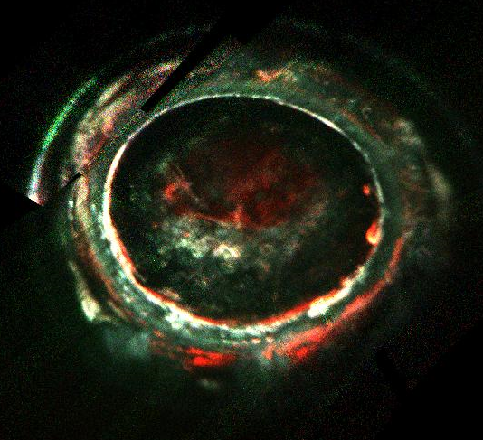 An image of Jupiter’s southern aurora, obtained by the Juno Ultraviolet Spectrograph (UVS) instrument on 2 February 2017. This image overlays three different UVS wavelength ranges and color codes them such that red, green, and blue indicate high, medium a