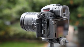 Ports on a Panasonic Lumix GH7 on a tripod outside with some blurred green trees in the background