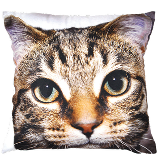 dunelm cushion with a cat print