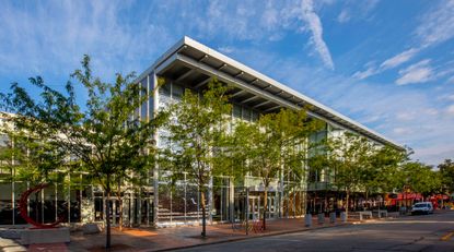 Architectural installation on a street with planted trees on the pavement in front of it.