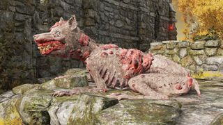 Elden Ring blood-infested dog sitting on ruins.