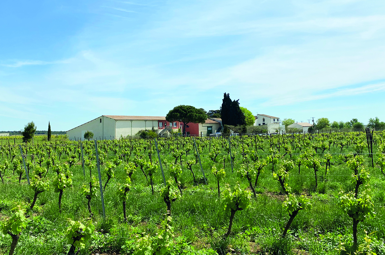 Domaine de Petit Roubi&amp;eacute;