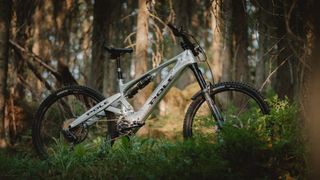 Pole Voima e-MTB enduro bike