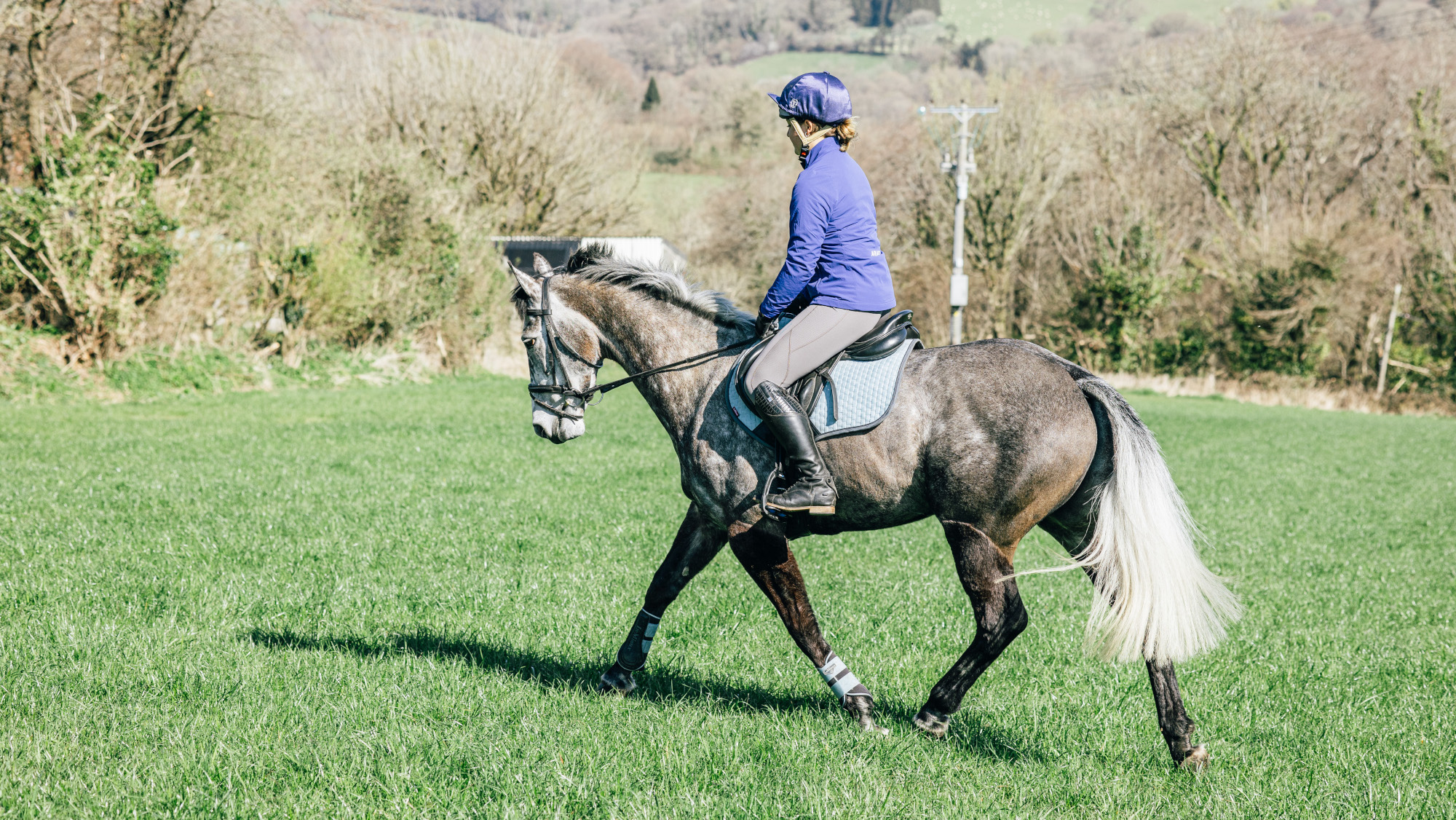 Pictured a horse and rider schooling in a field. 
