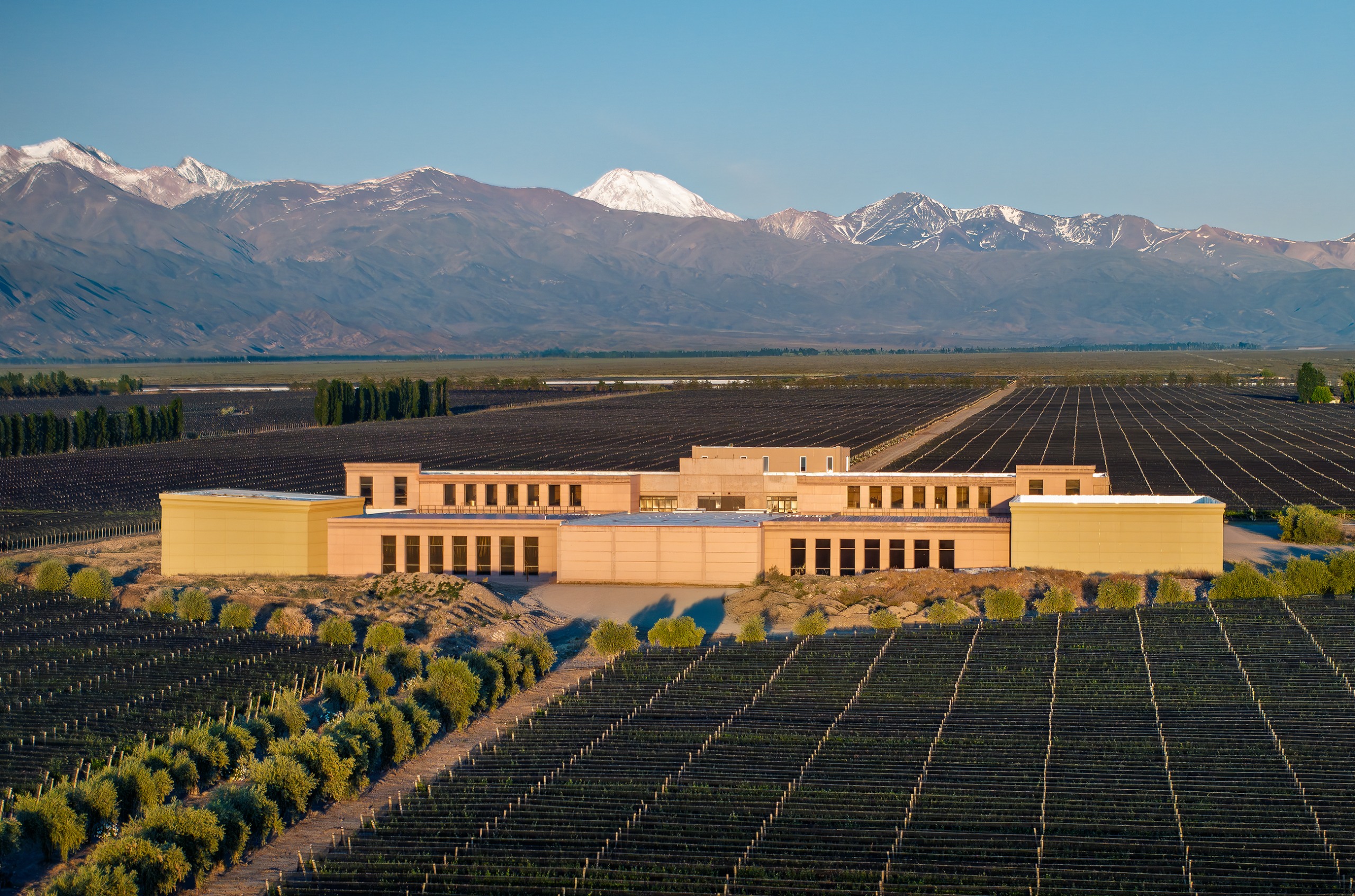 Large winery &ndash; cream building &ndash; surrounded by vineyards, with snowcapped mountains in the background