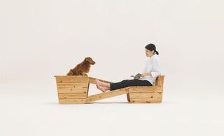 Wooden playhouse for long-bodied short-legged dog. There are two structures joined by two diagonal ladders. A young woman sits comfortably on one structure with her legs resting in front of her on the ladder, whilst a Dachshund sits atop the second the structure waiting to cross the ladder.