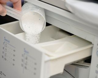 Pouring washing powder in washing machine