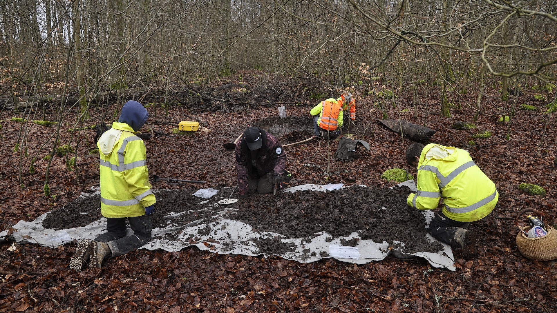 Cuatro personas excavan un sitio en el bosque