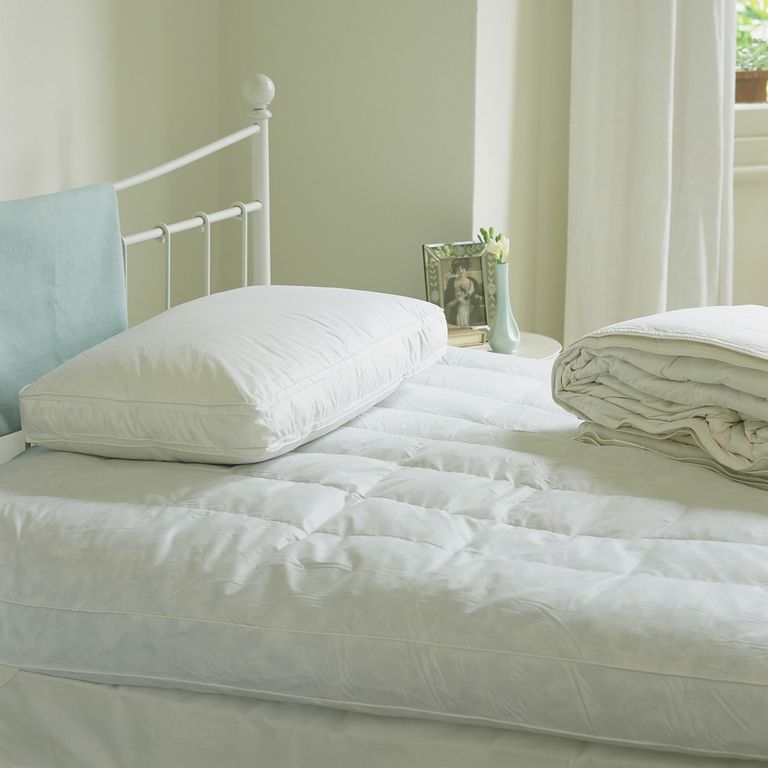 does-steam-cleaning-kill-bed-bugs-experts-advise-ideal-home