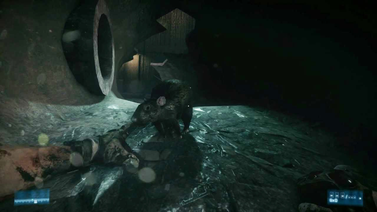 Rat battle (Battlefield 3)
