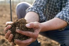 Hands holding vineyard soil Ferghettina Franciacorta