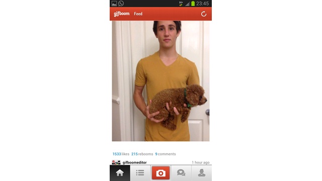 GifBoom 1
