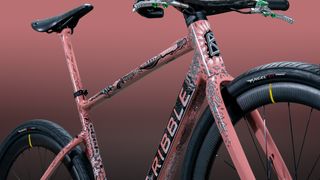 Close up on the Ribble x Vic Lee bike