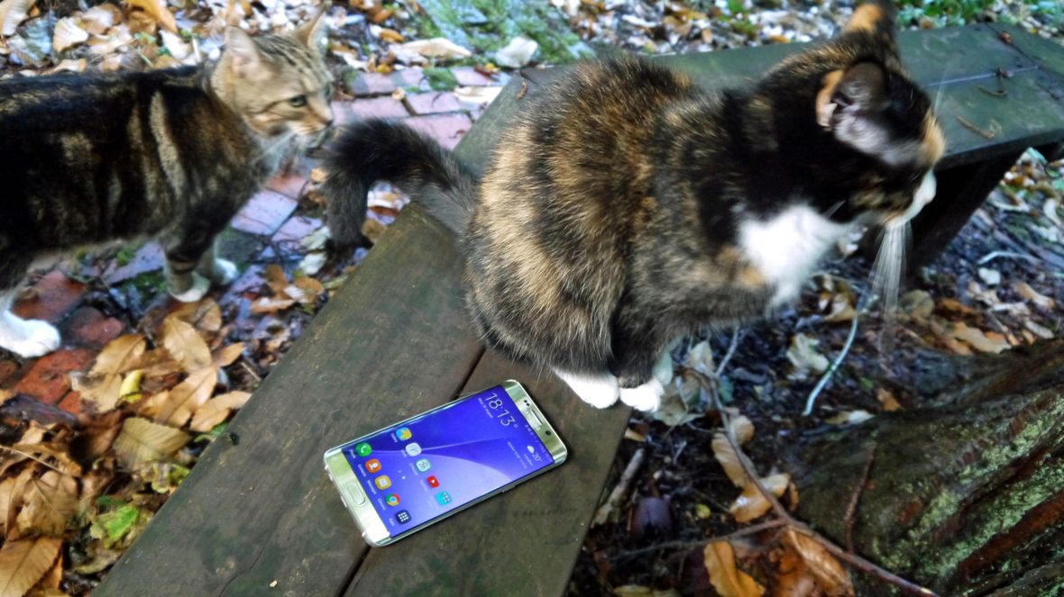 Samsung Galaxy S6 Edge+ review