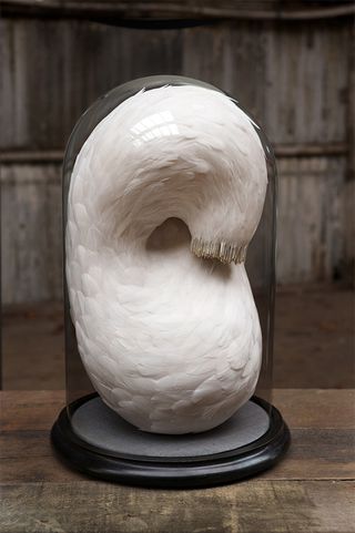 Feather sculptures