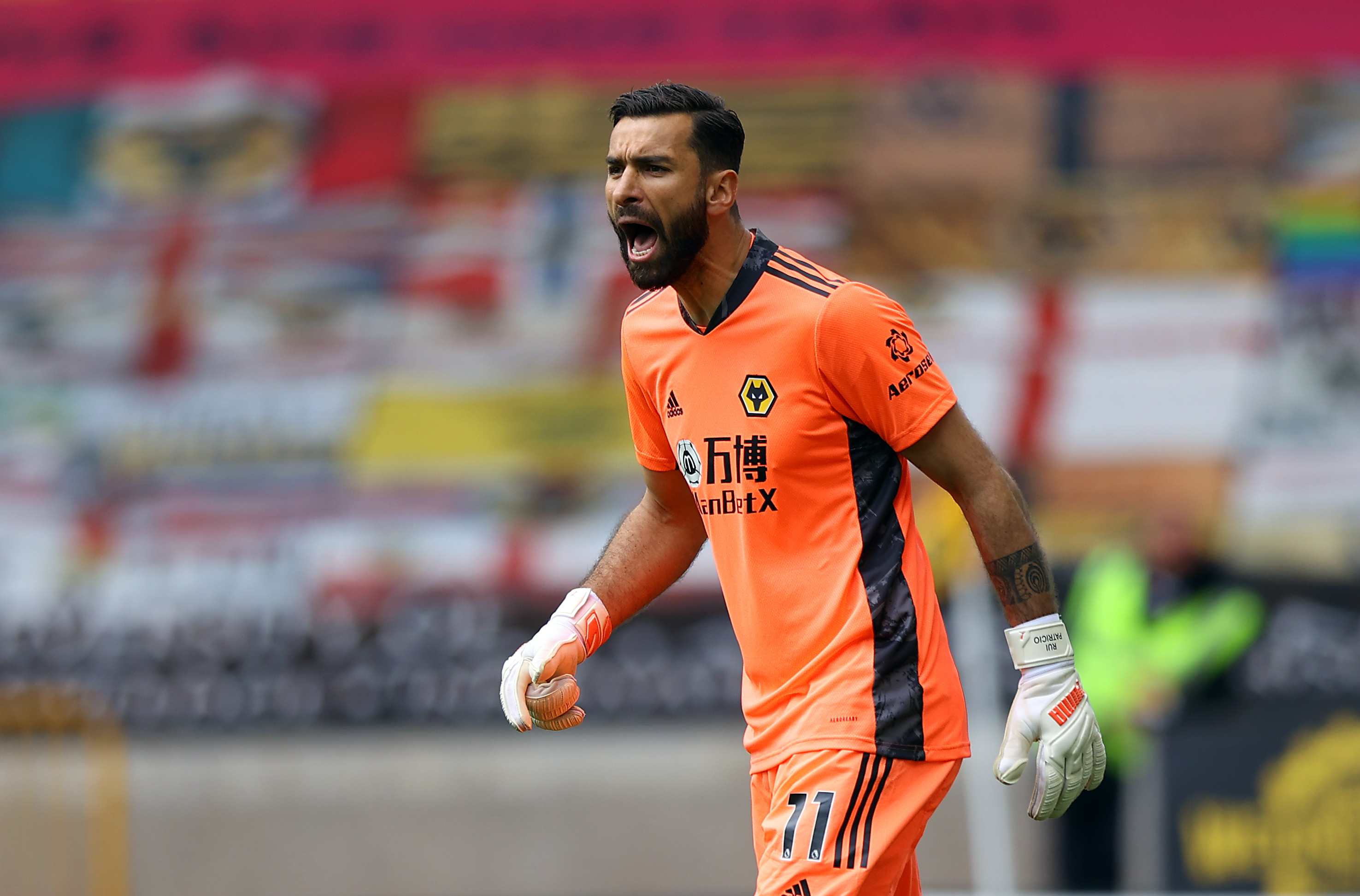 Wolverhampton Wanderers v Brighton and Hove Albion – Premier League – Molineux Stadium