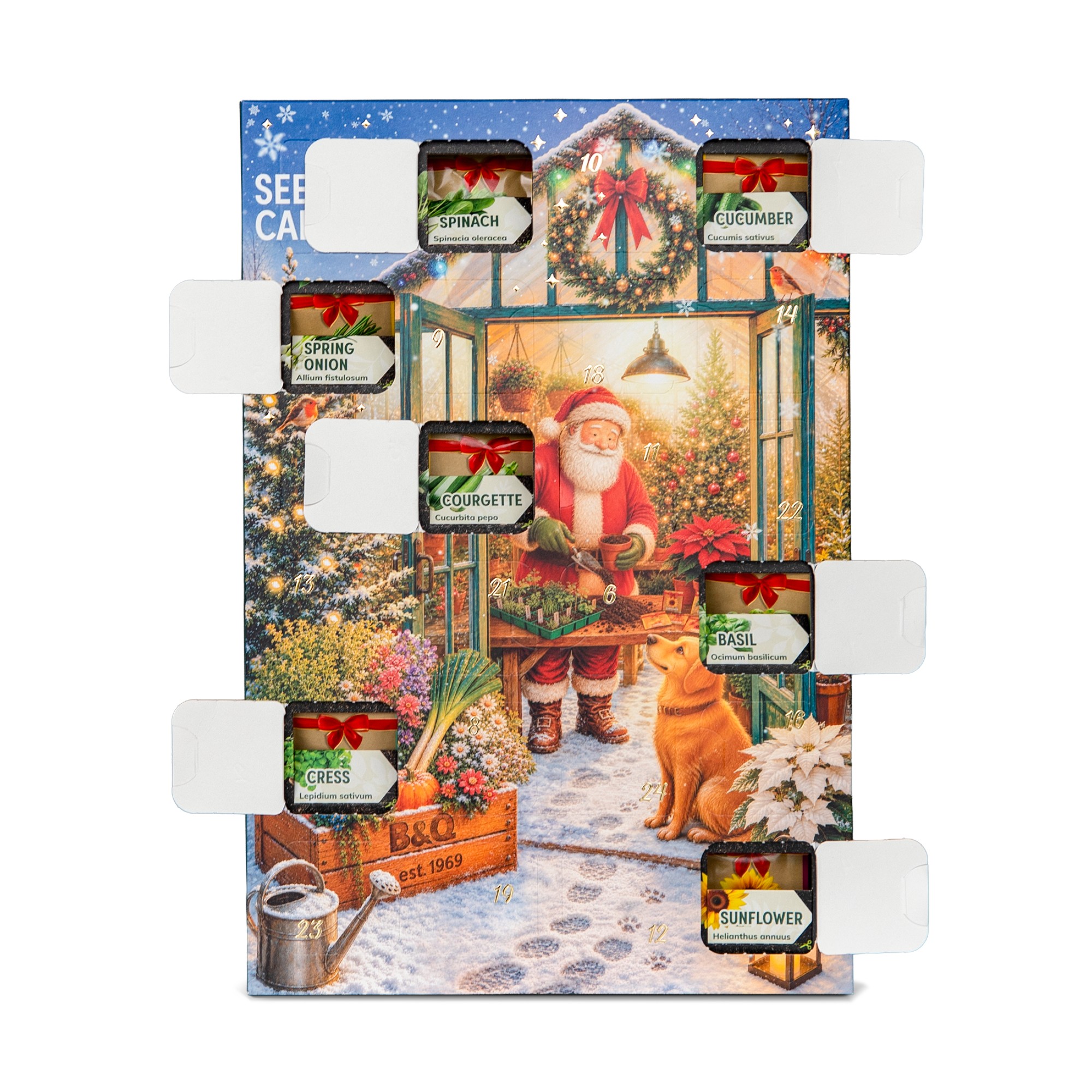 B&amp;amp;Q seed advent calendar