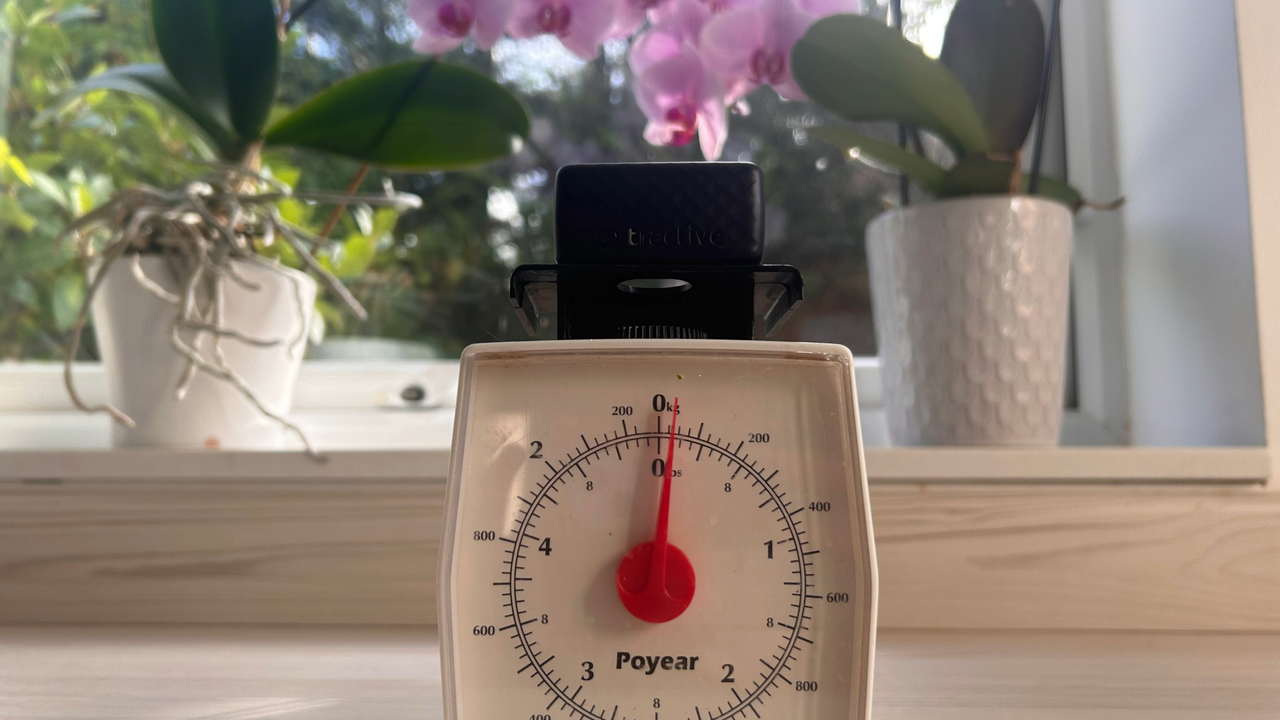 Tractive Mini GPS Cat Tracker on top of a measuring scale