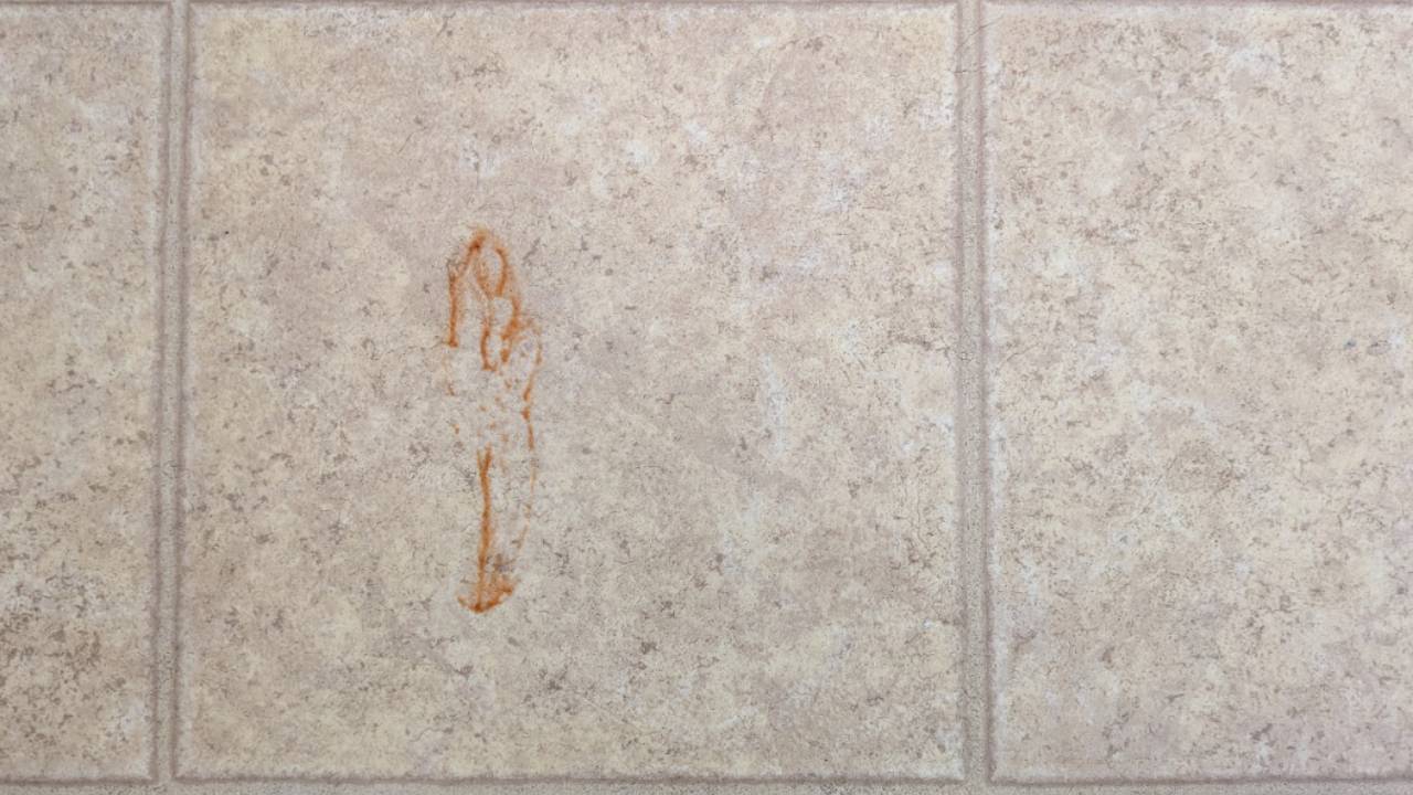 Ecovacs Deebot X11 Omnicyclone