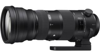Sigma 150-600mm f/5-6.3 DG OS HSM | S review | Digital Camera World