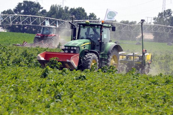 Crop Field