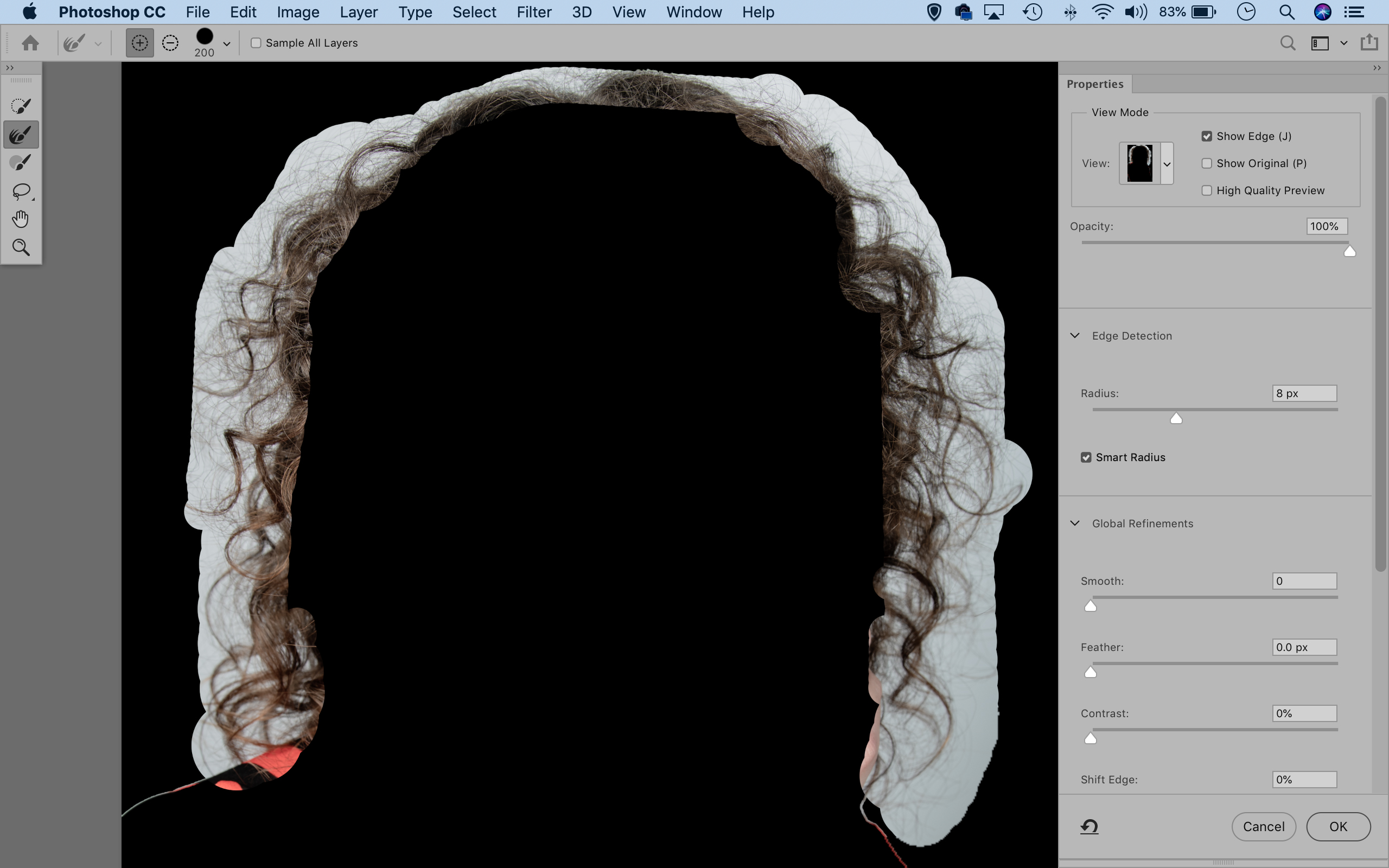 Cut out hair in Photoshop select hair
