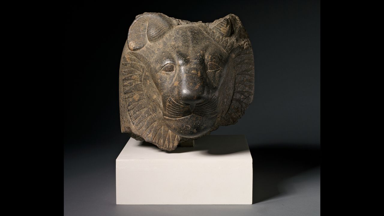 The head of Sekhmet, dating to Egypt's New Kingdom, Dynasty 18, reign of Amenhotep III, 1391-1353 B.C.