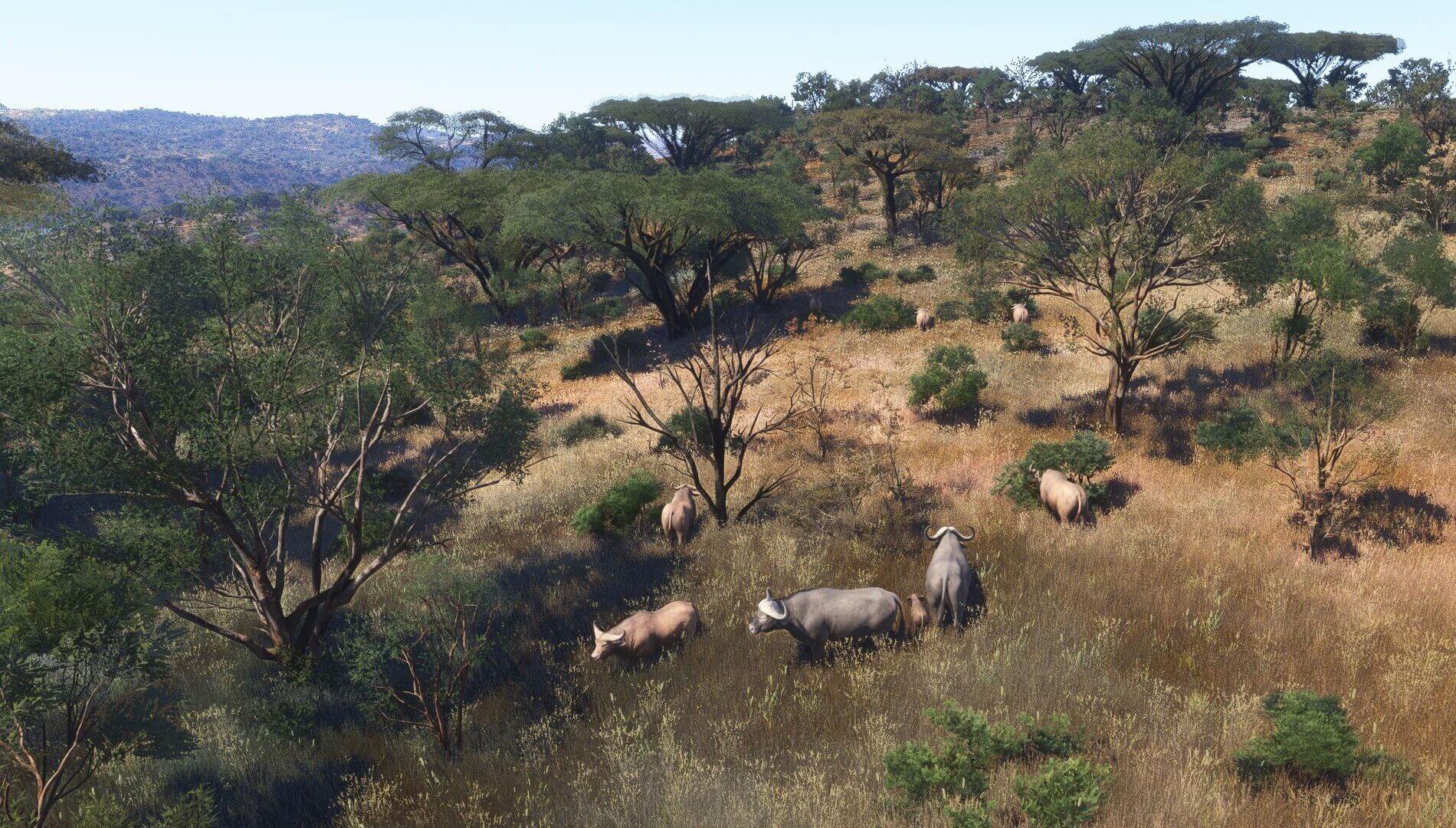 Some of the animals in Microsoft Flight Simulator 2024.