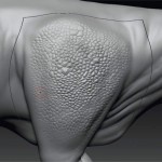 Using hPolish brush with Depth