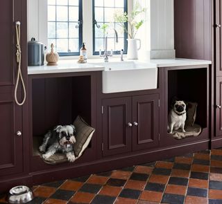 Neptune's kitchen design with dogs in mind.