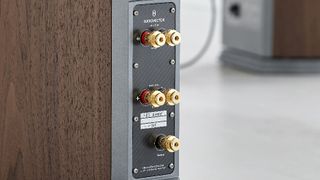 Audiovector R3 Arreté compatibility