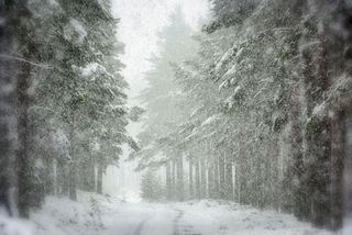 ©Scottish Landscape Photographer of the Year/Martin Santbergen