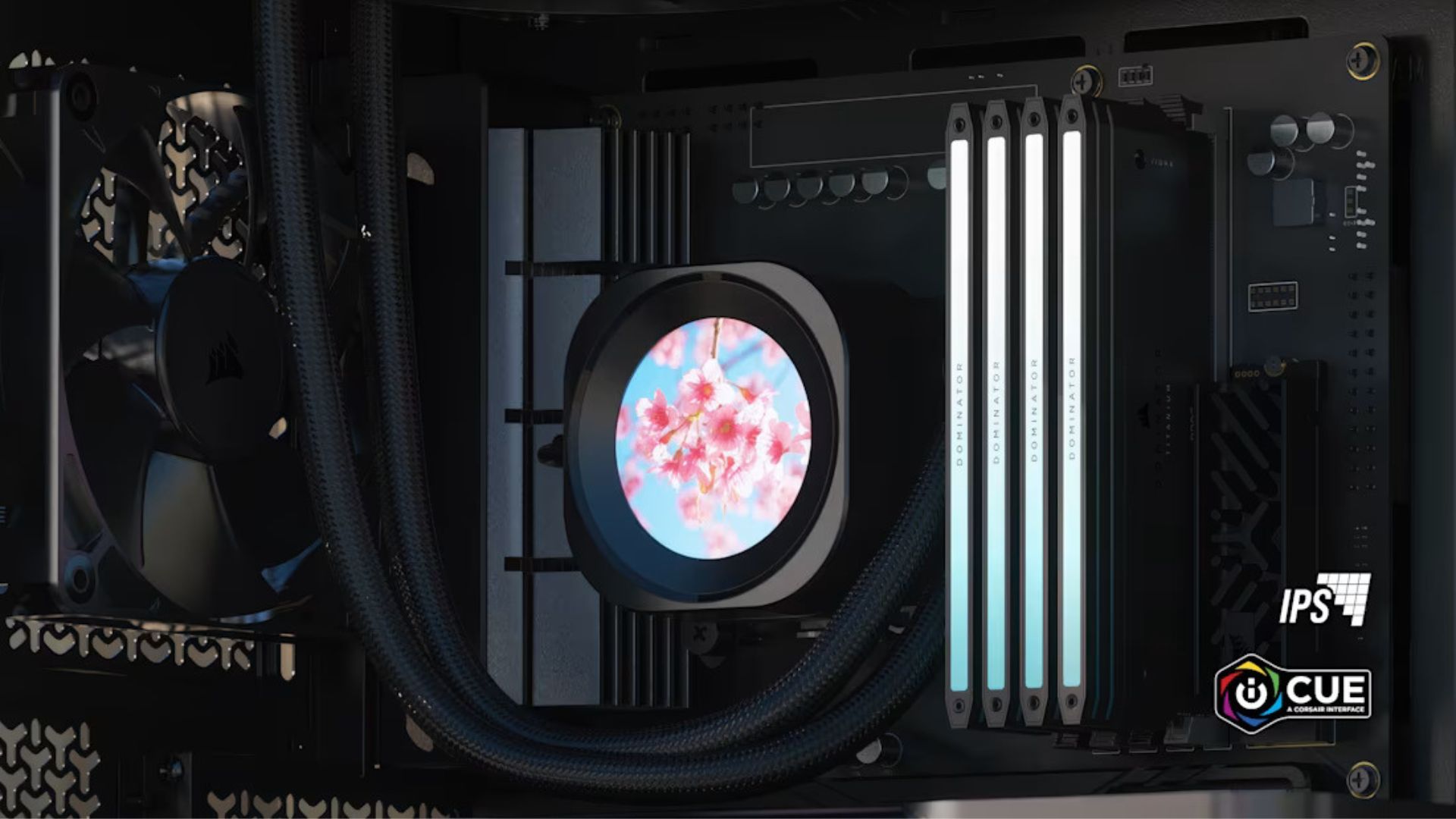 The Corsair Nautilus RS LCD&#039;s screen displaying a cherry blossom tree in a marketing image