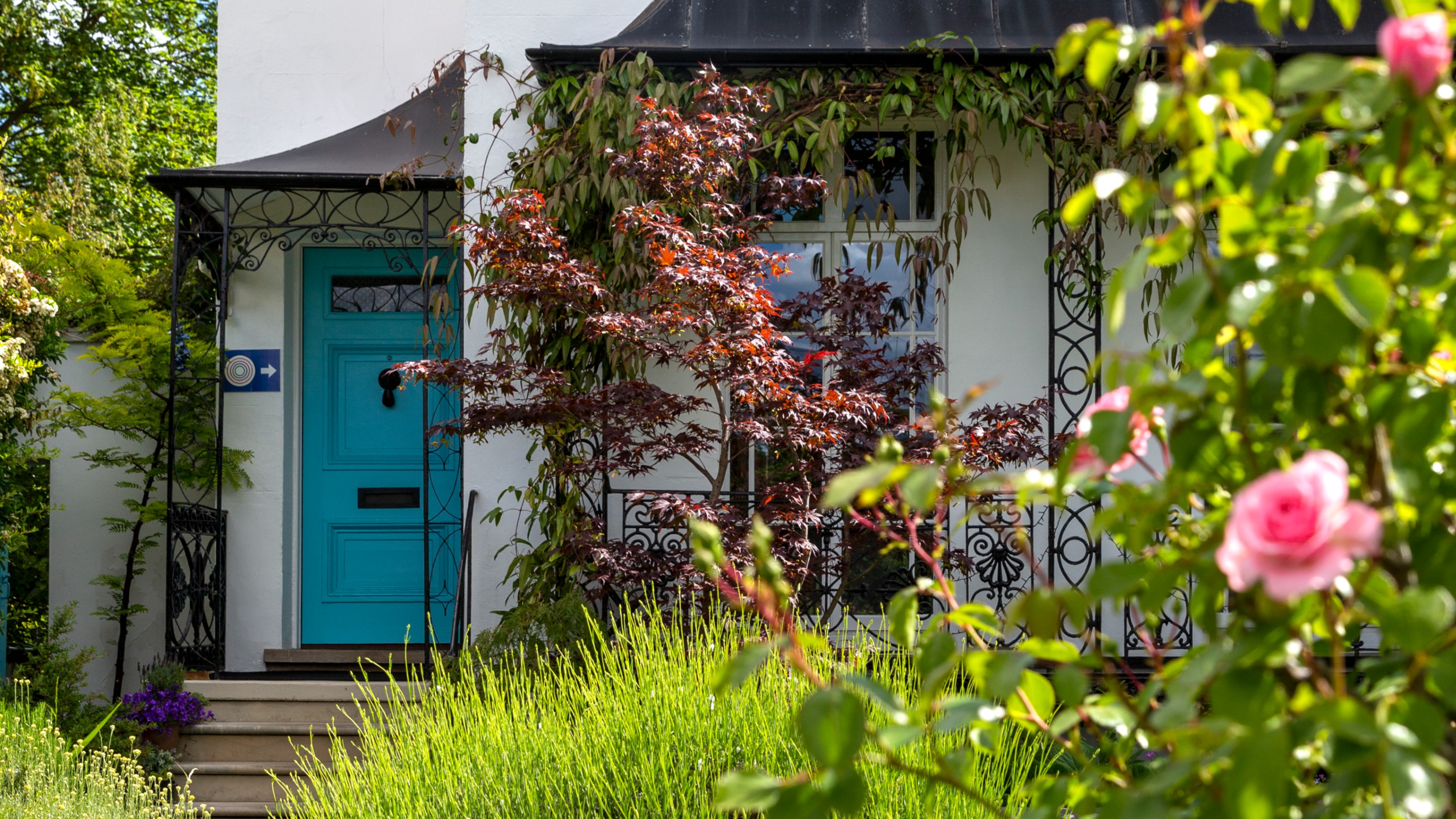 The exterior of a house painted white with a bright blue front door surrounded by greenery and rose bushes in the front garden