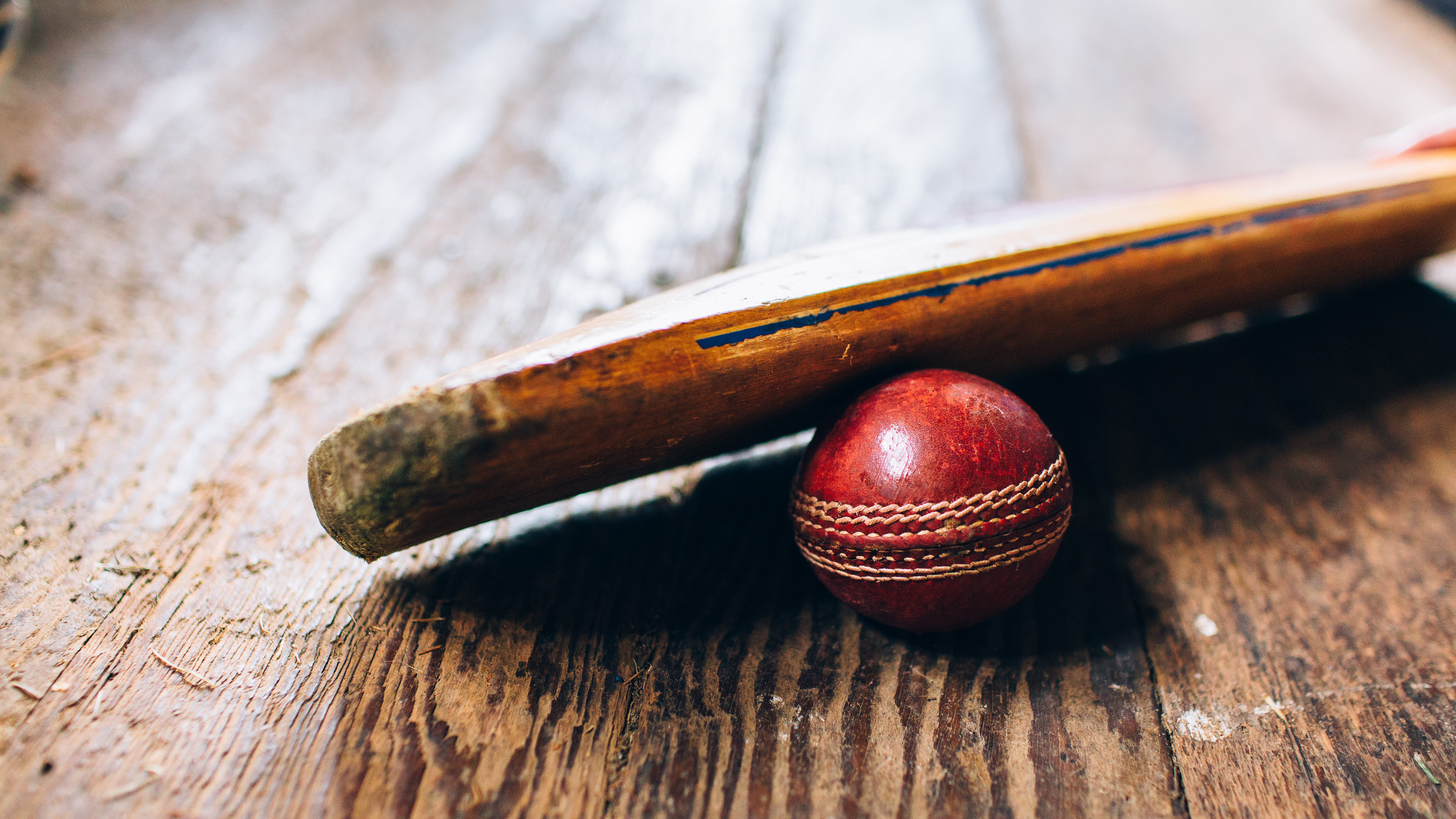 Cricket bat