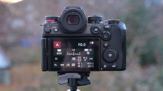 Panasonic Lumix S1R II camera on a tripod outside seen from behind with the menu displayed on the screen