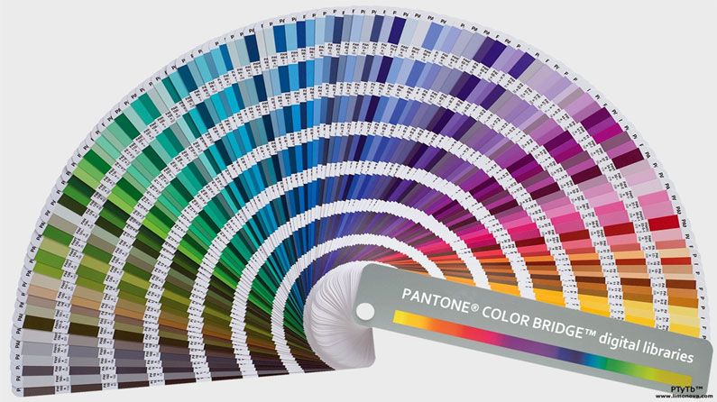 Pantone's colour of 2014 has been announced... | Creative Bloq