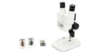 Celestron S20 Portable Stereo Microscope, one of the best microscopes