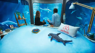 Airbnb Night At the Shark Aquarium