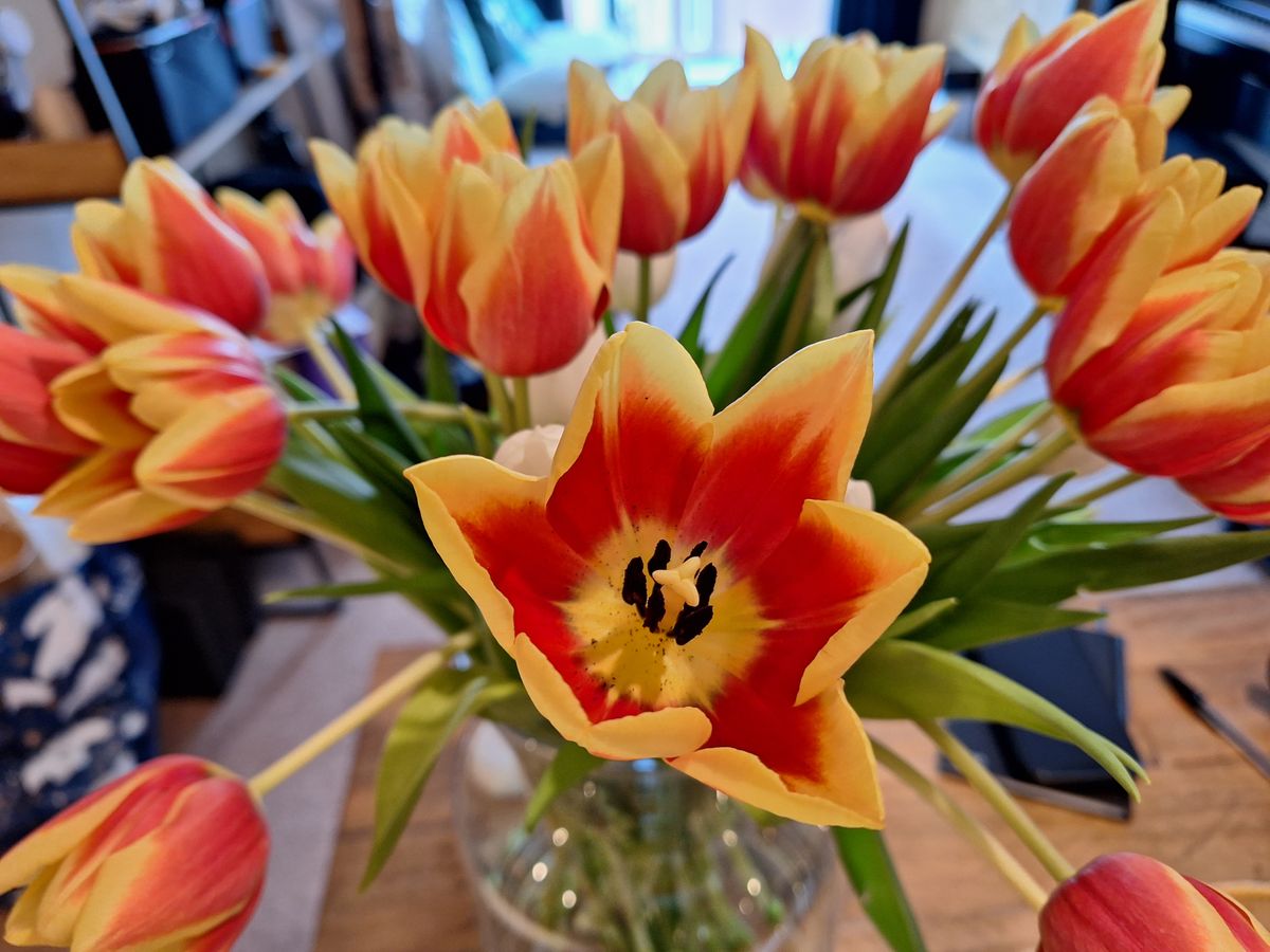 A photo captured on the Samsung Galaxy A54 5G