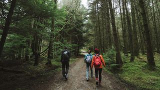 three walkers in Scotland