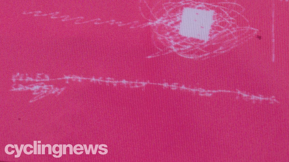 EF Education First-Nippo jersey