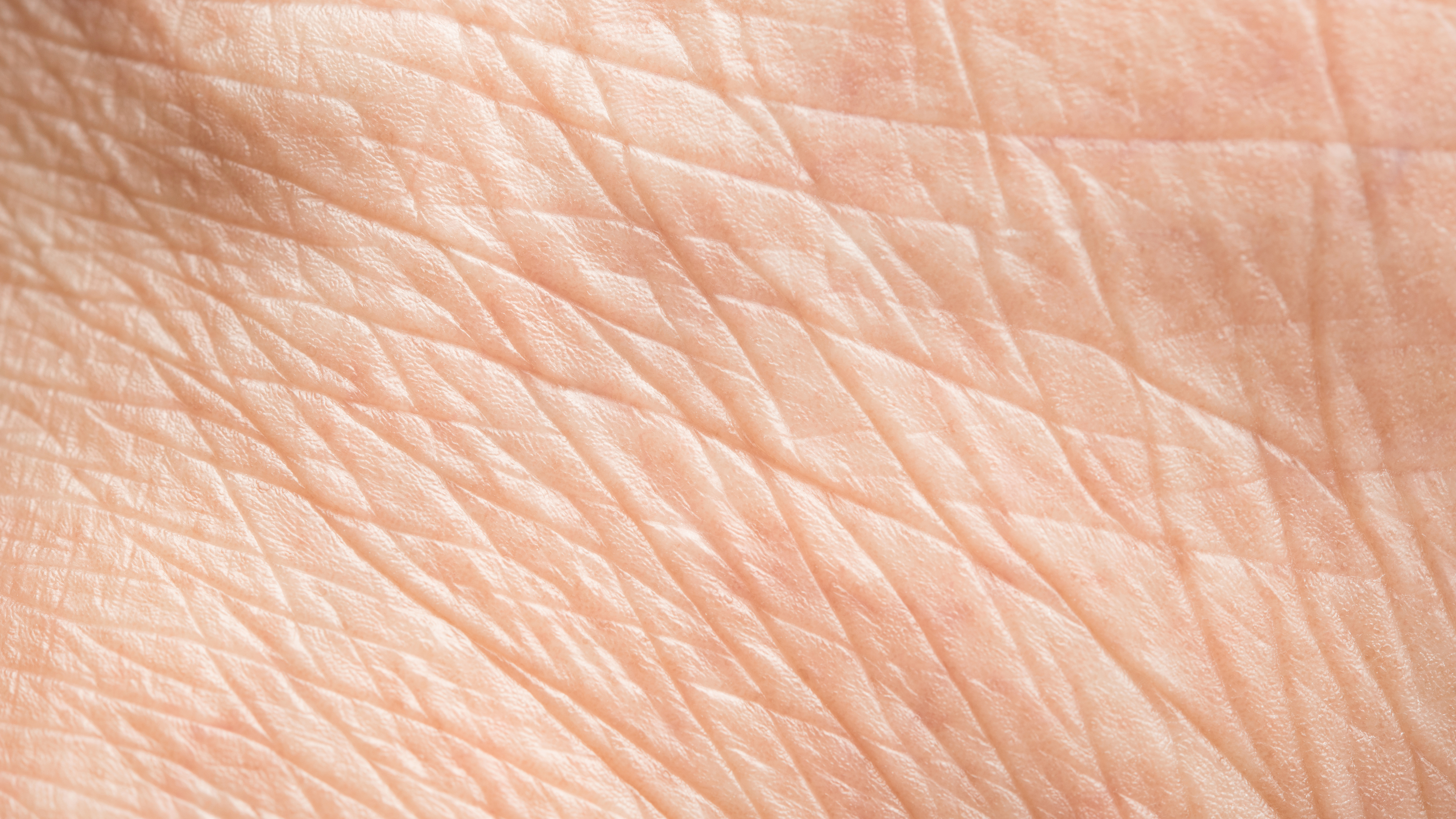 A closeup of wrinkles in skin