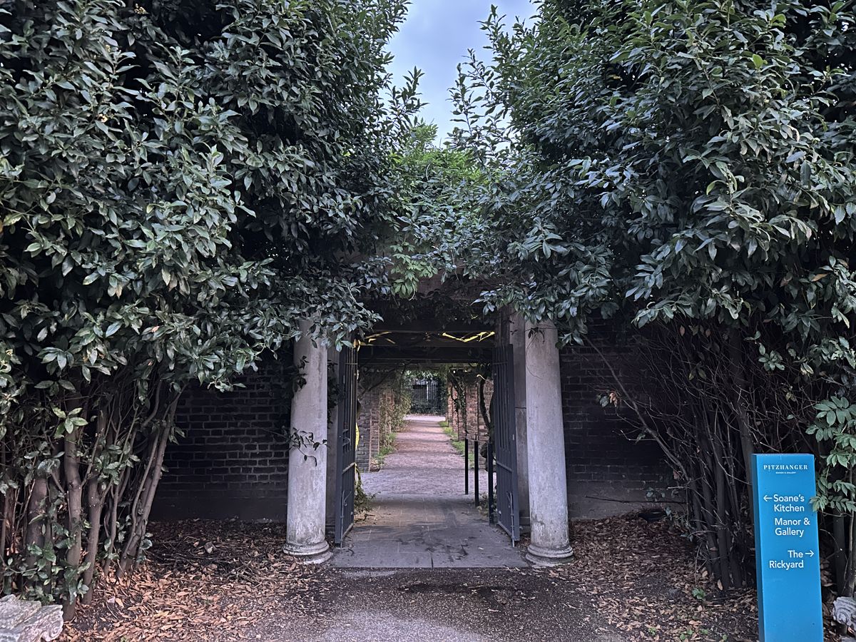 A photo captured on the iPhone 14 Pro Max