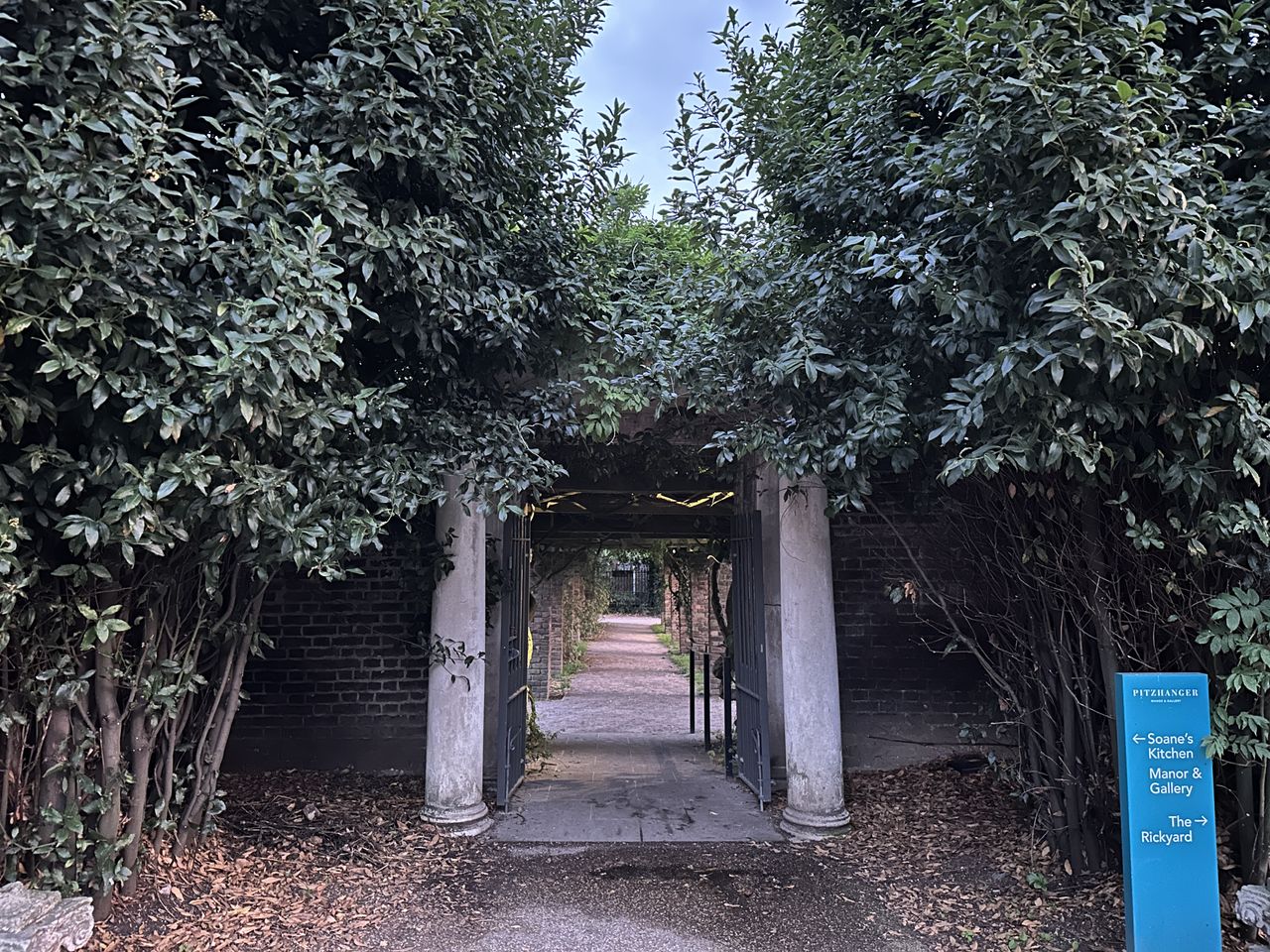 A photo captured on the iPhone 14 Pro Max
