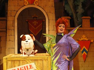 Strictly's Craig dons a dress for pantomime