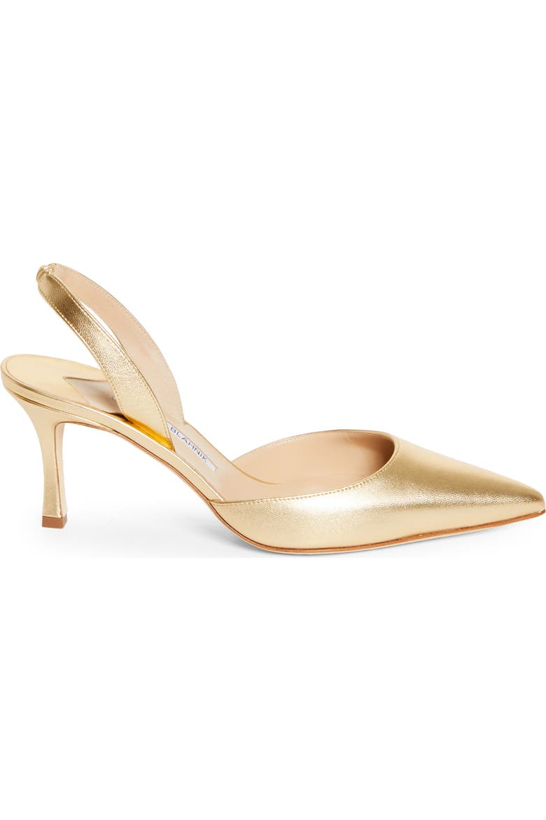 Carolyne Pointed Toe Slingback Pump
