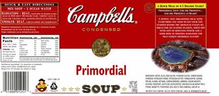 Primordial soup in a can – what about a new recipe for life?
