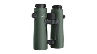 Swarovski EL Range 10x42 binoculars stock product on a white background