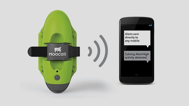Moocall